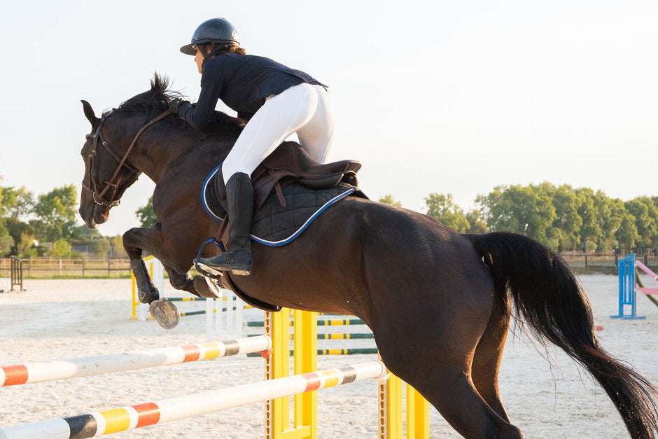 Person riding a horse jumping over an obstacle in an outdoor equestrian pen