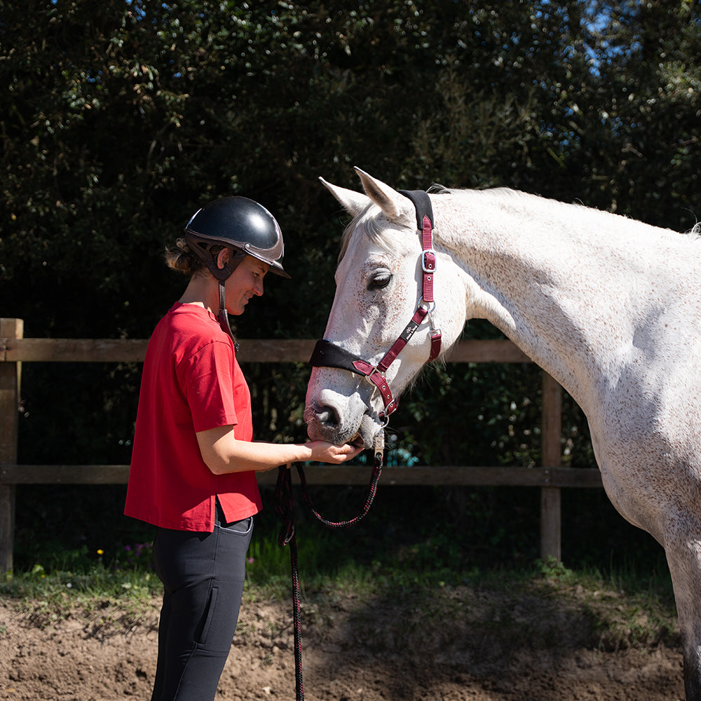 Crystine Full Grip Breeches