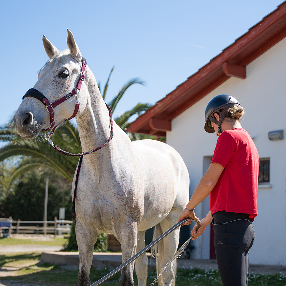Crystine Full Grip Breeches