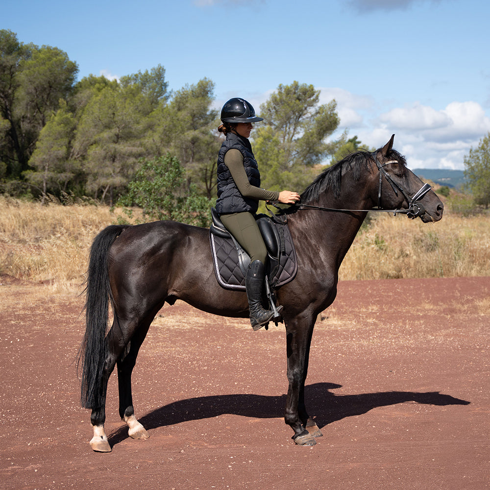 Daniella Full Grip Breeches