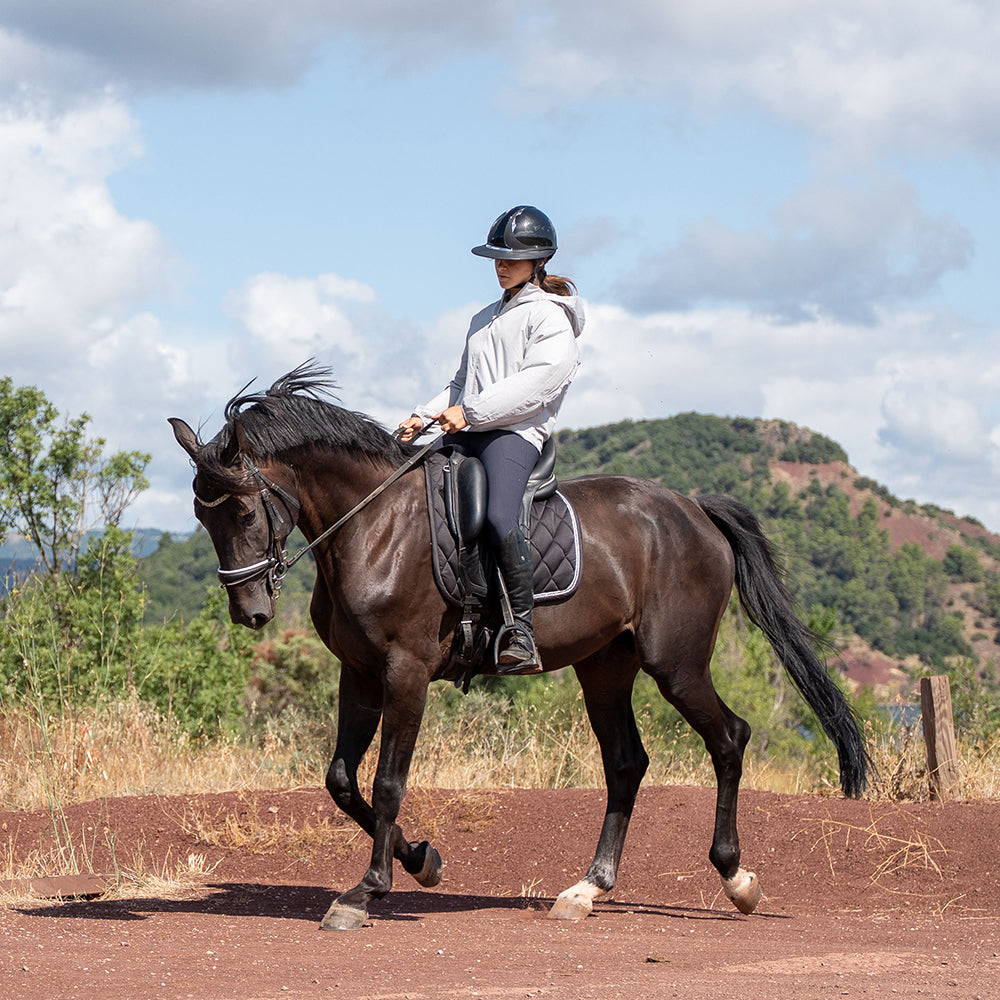 Daniella Full Grip Breeches