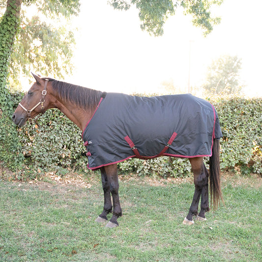 Danka 600D 300G Turnout Rug