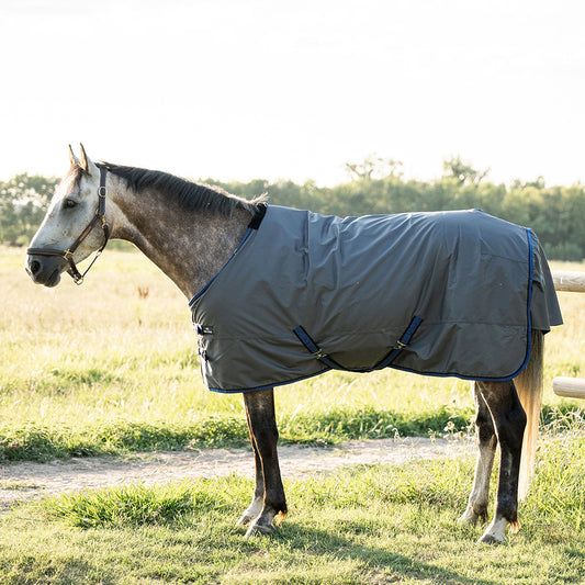 Danka 600D 300G Turnout Rug