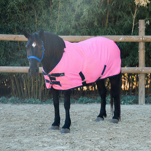 Daphne 600D 0G Pony Turnout Rug