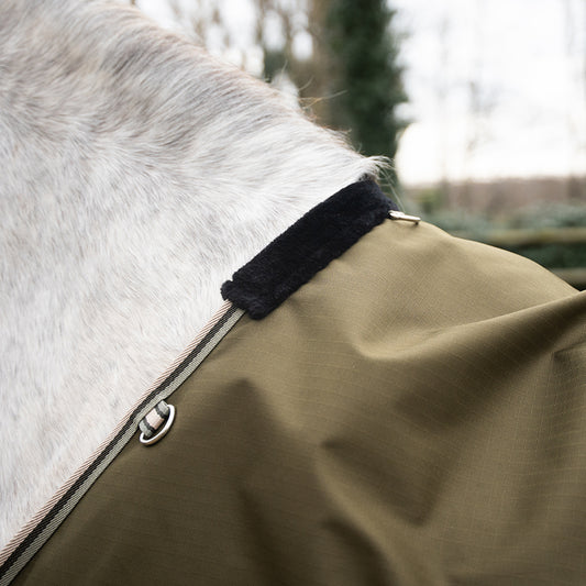 Daphne 600D 0G Turnout Rug