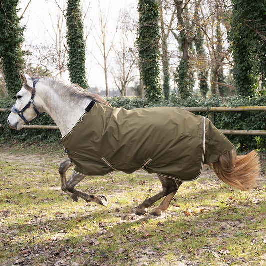 Daphne 600D 0G Turnout Rug