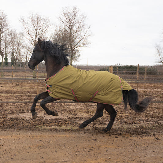 Daphne 600D 0G Turnout Rug