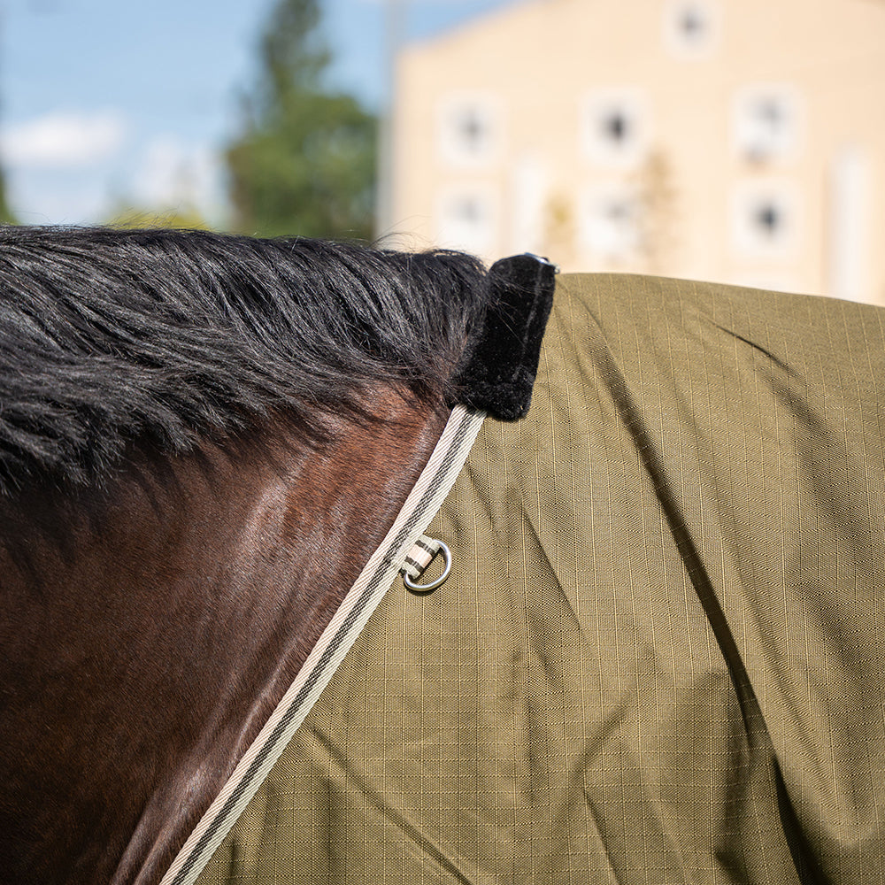 Darla 1200D 150G Turnout Rug