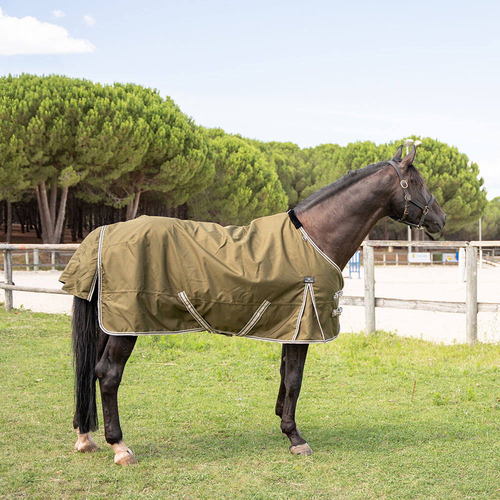 Darla 1200D 150G Turnout Rug