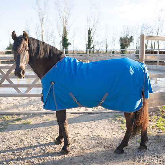 Darla 1200D 150G Turnout Rug
