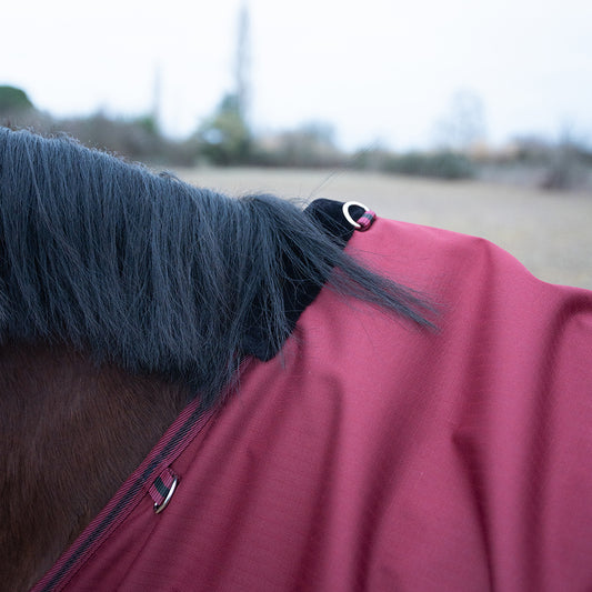 Deanna 600D 150g Turnout Rug
