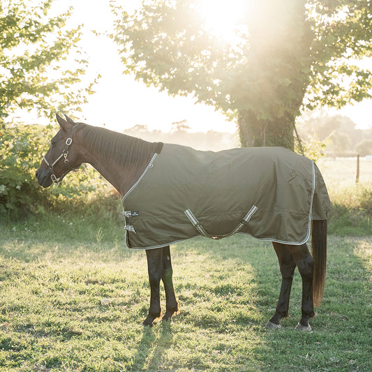 Deanna 600D 150g Turnout Rug