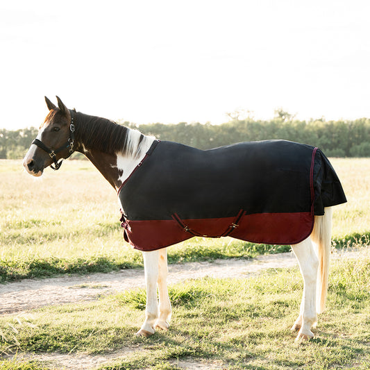 Deanna 600D 150g Turnout Rug