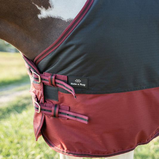 Deanna 600D 150g Turnout Rug