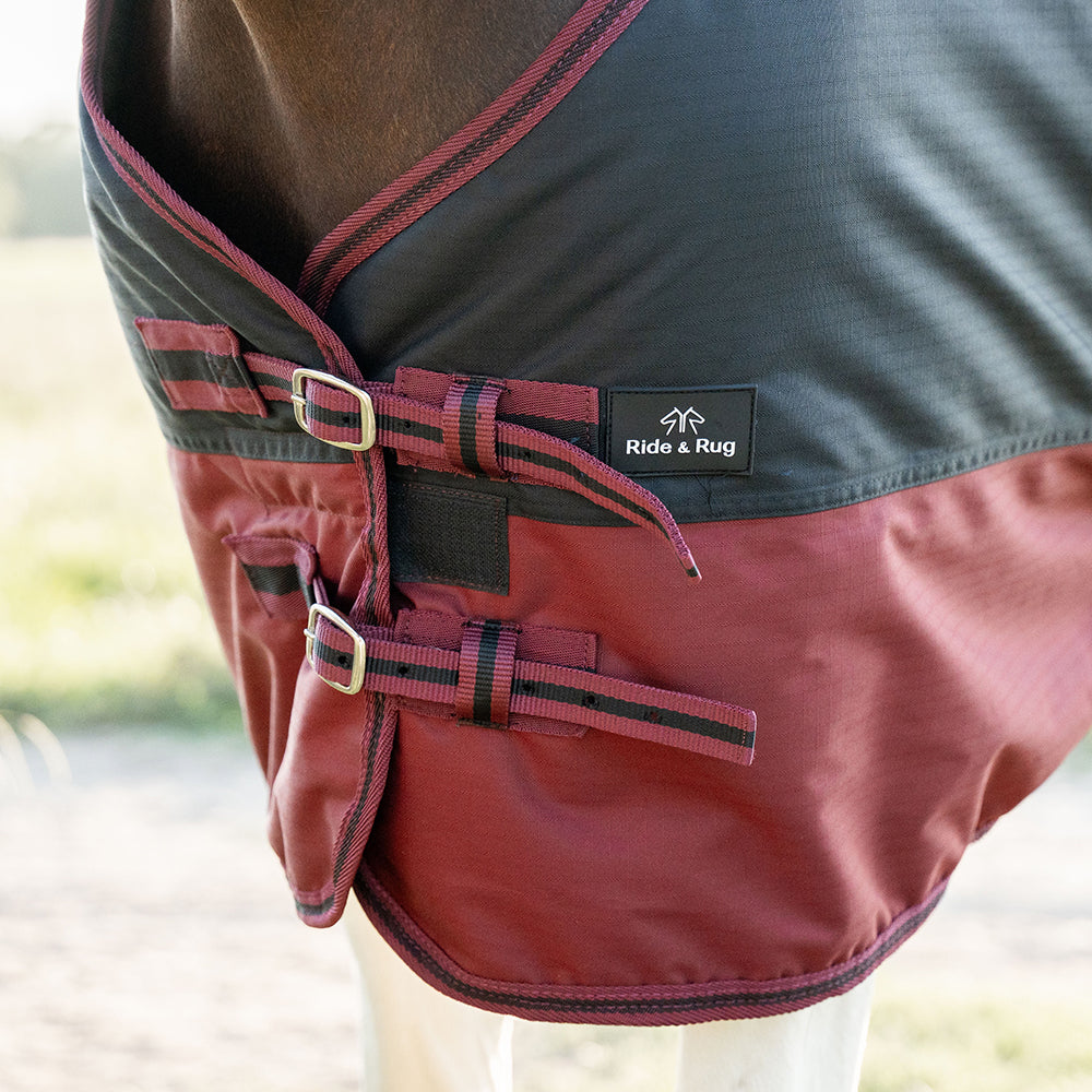 Deanna 600D 150g Turnout Rug