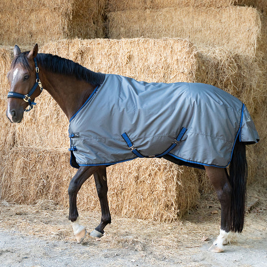 Deanna 600D 150g Turnout Rug