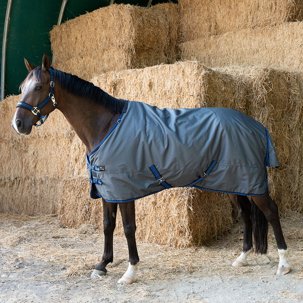 Deanna 600D 150g Turnout Rug