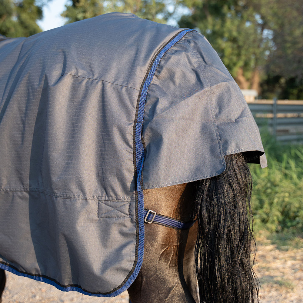 Deanna 600D 150g Turnout Rug