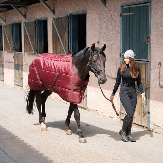Dolene II 420D 400G Stable Rug