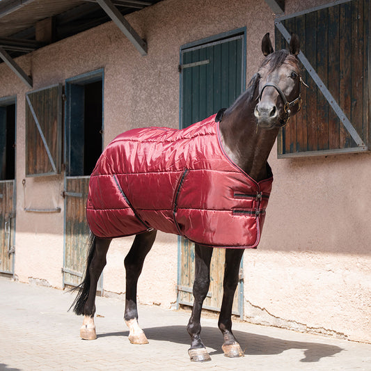 Dolene II 420D 400G Stable Rug