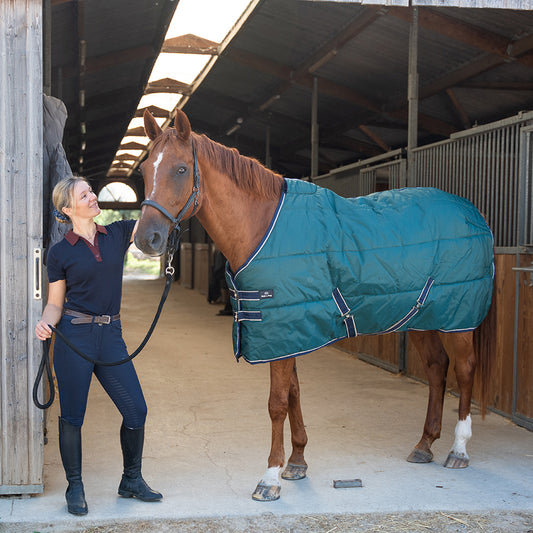 Dolene III 420D 250G Stable Rug