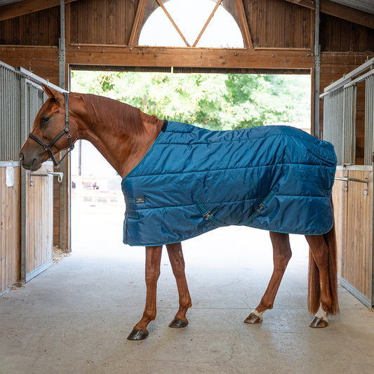 Dolene III 420D 250G Stable Rug