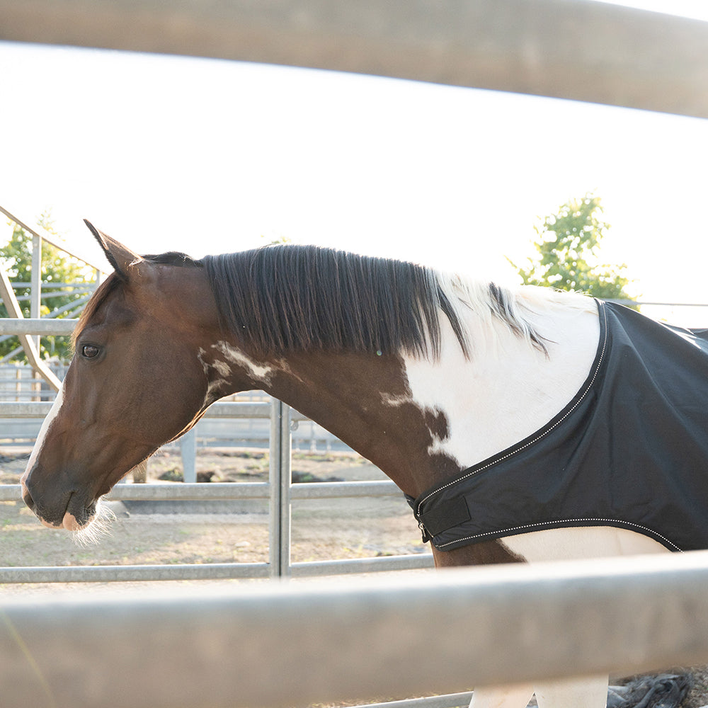Flaurine 600D Walker Rug