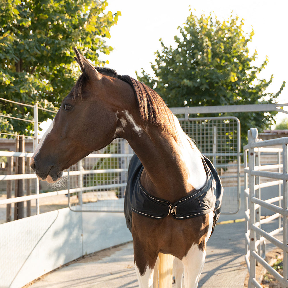 Flaurine 600D Walker Rug