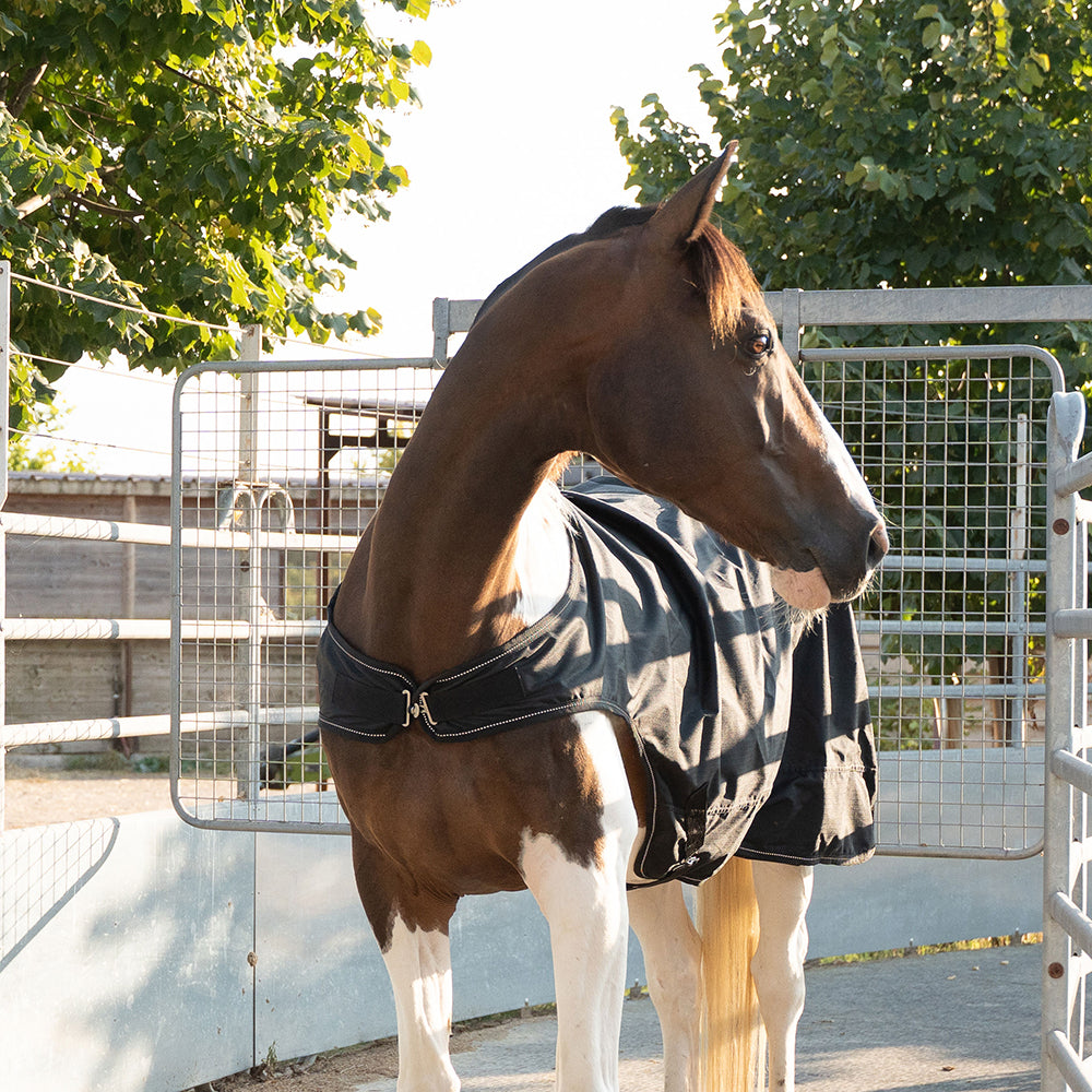 Flaurine 600D Walker Rug