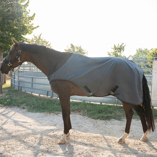 Flaurine 600D Walker Rug