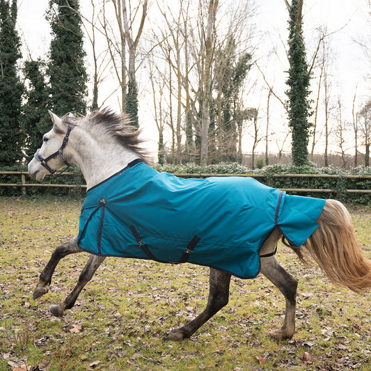 Franceza 1200D 0G Turnout Rug