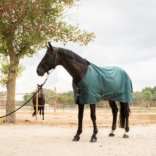 Daphne 600D 0G Turnout Rug