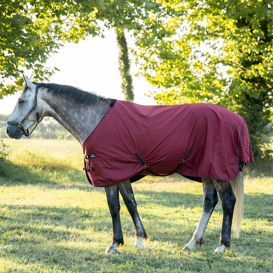 Daphne 600D 0G Turnout Rug