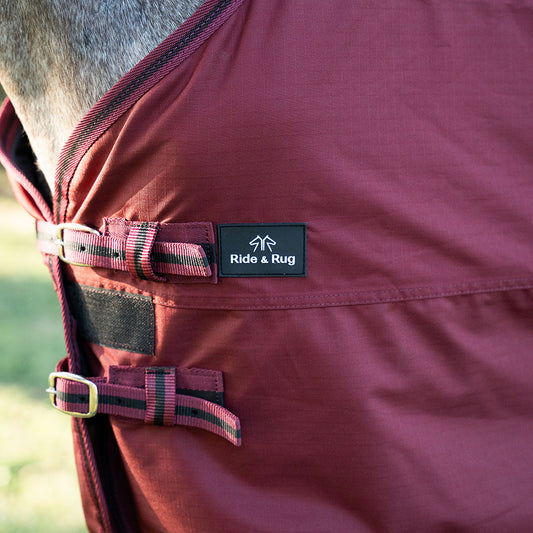 Daphne 600D 0G Turnout Rug
