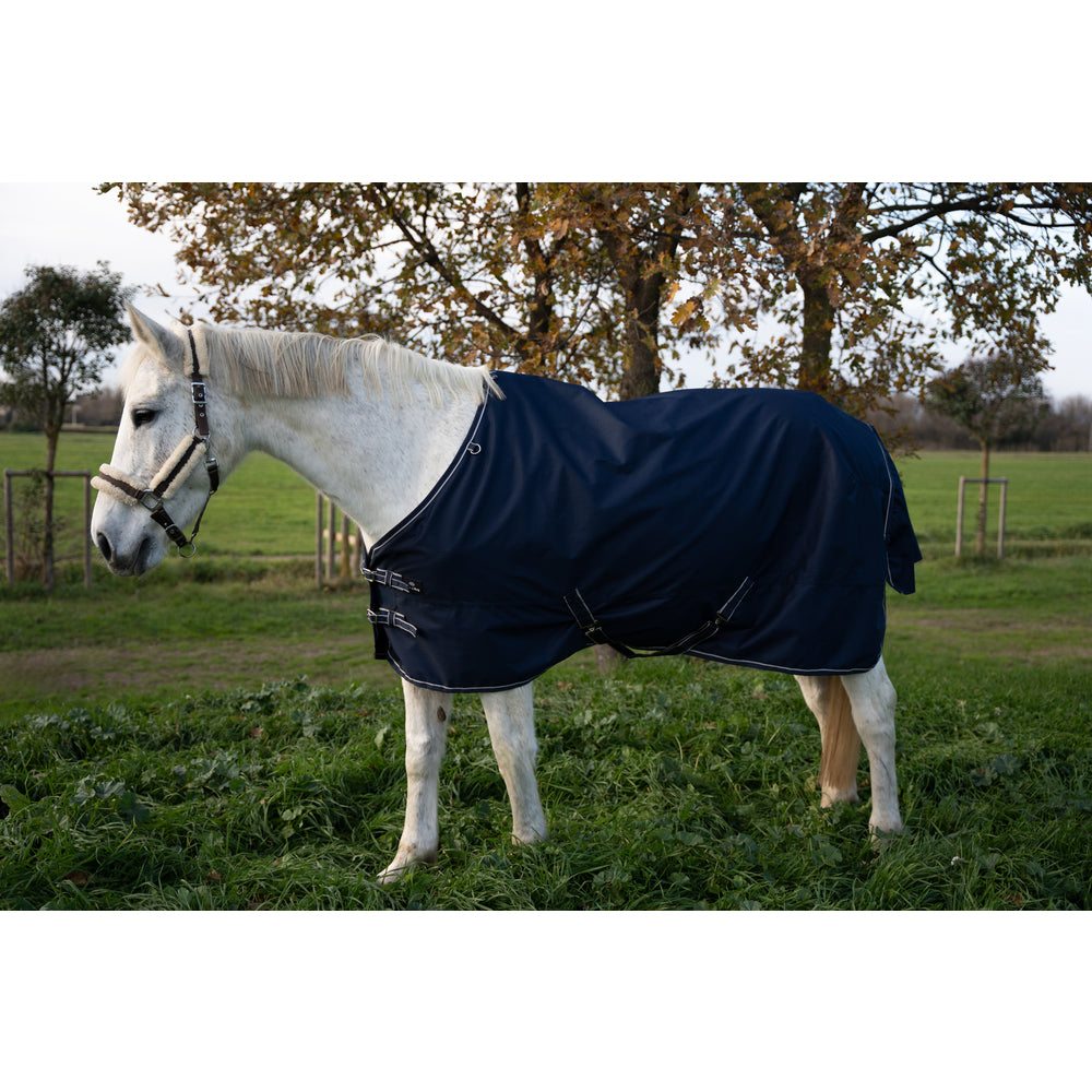Ride & Rug | Daphne Paddock Rug