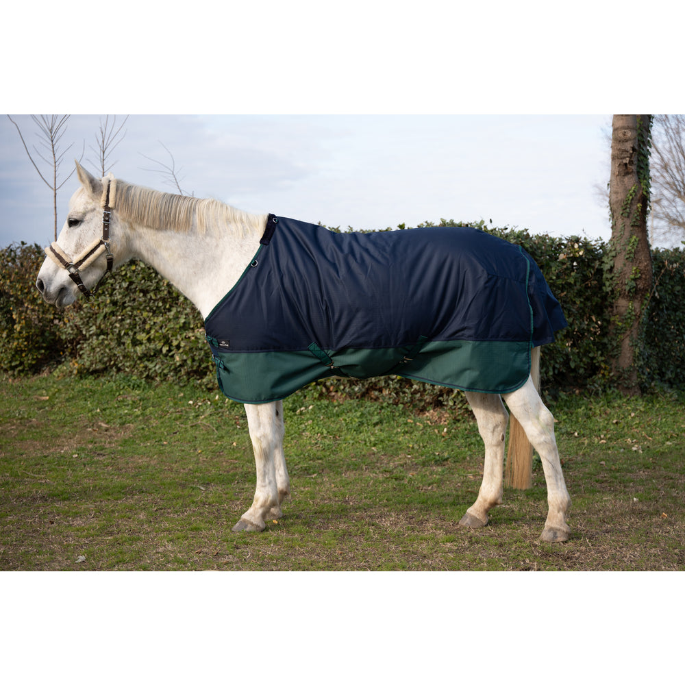 Ride & Rug | Deanna 600D 150g Turnout Rug