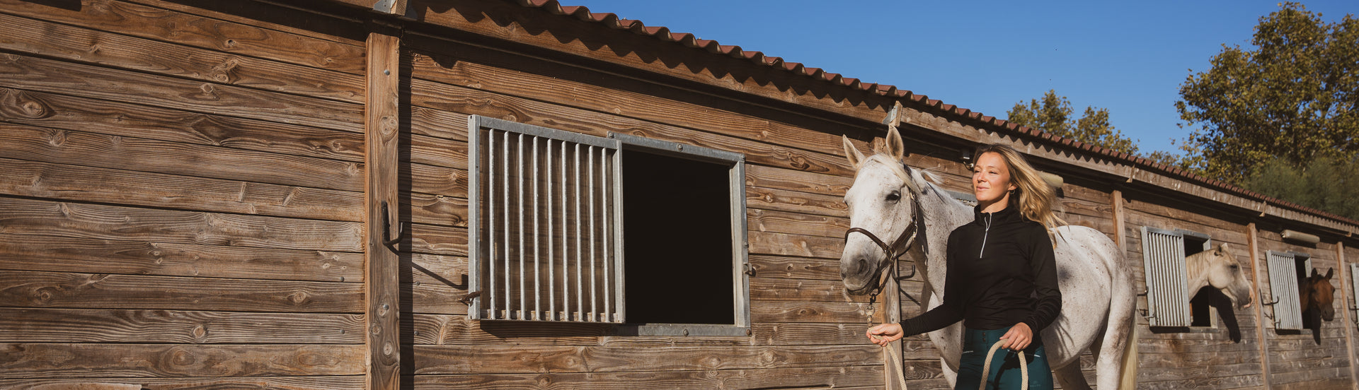 A woman leading a white horse on a leash outside a stable