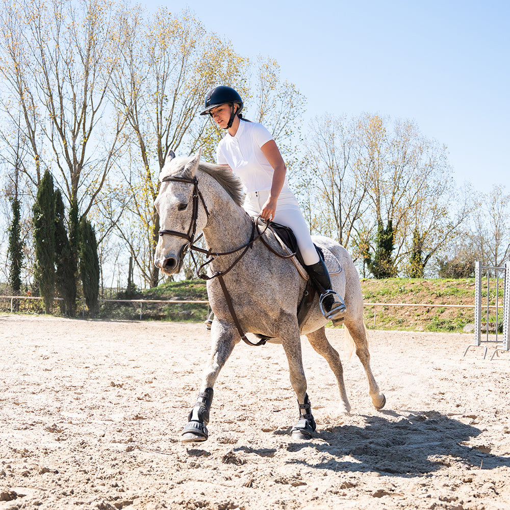 Balibee Full Grip Show Breeches