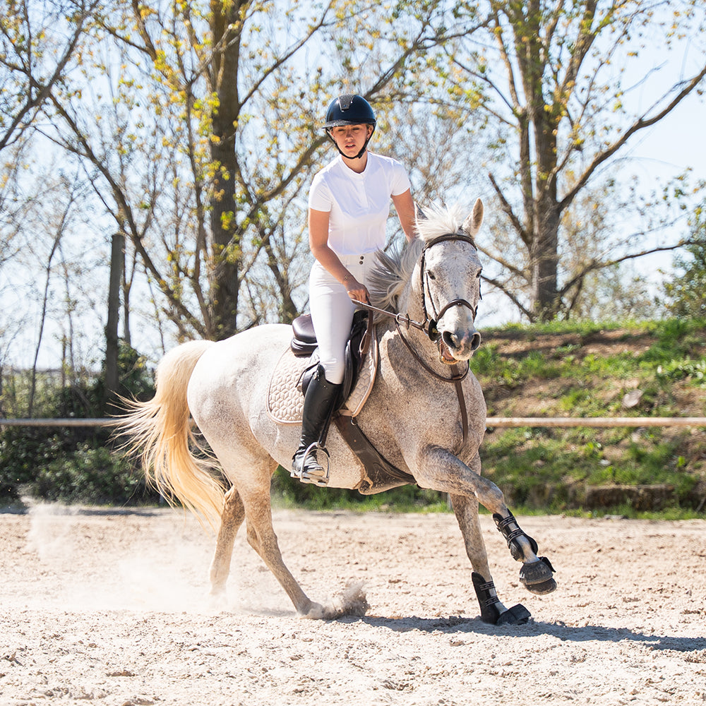 Balibee Full Grip Show Breeches