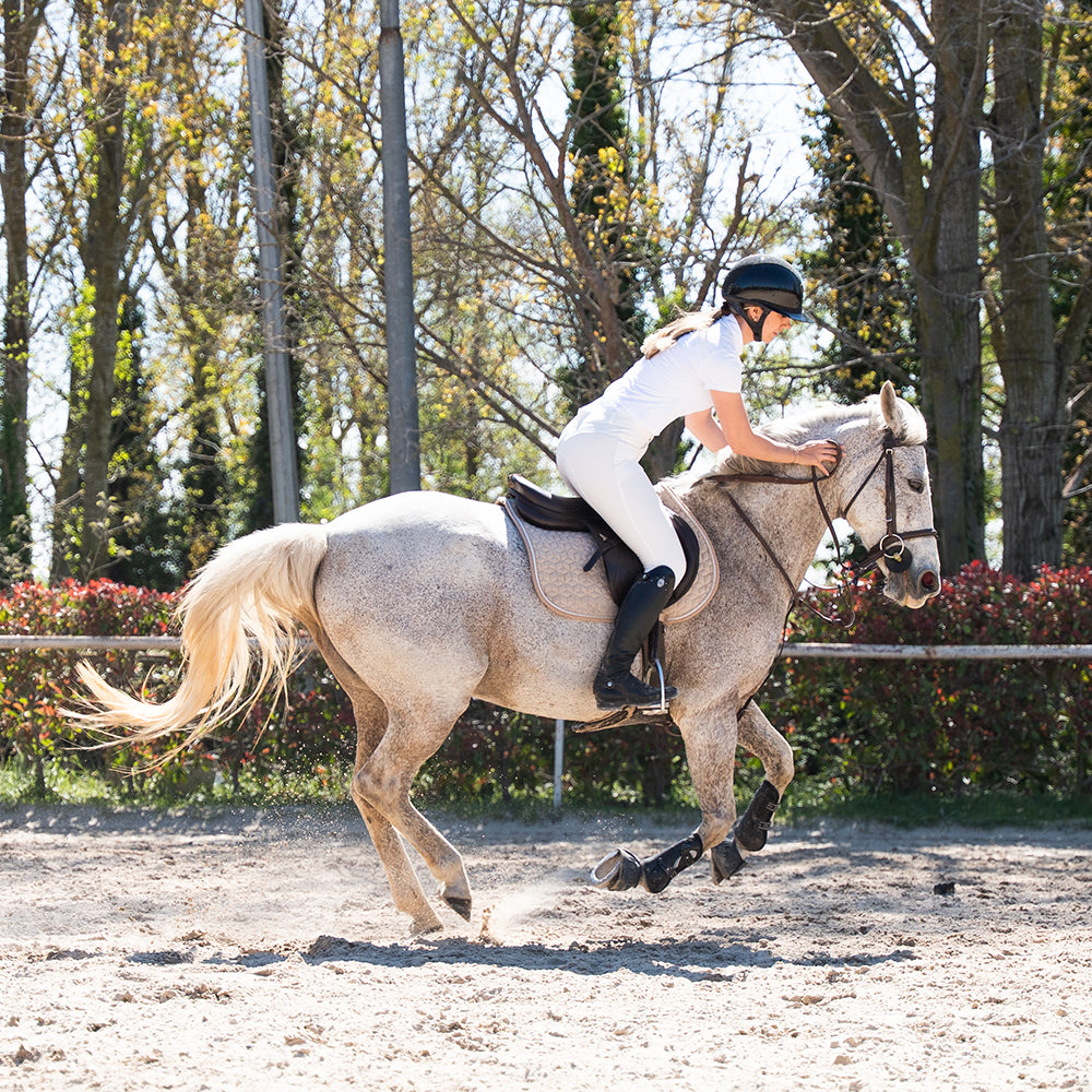 Balibee Full Grip Show Breeches