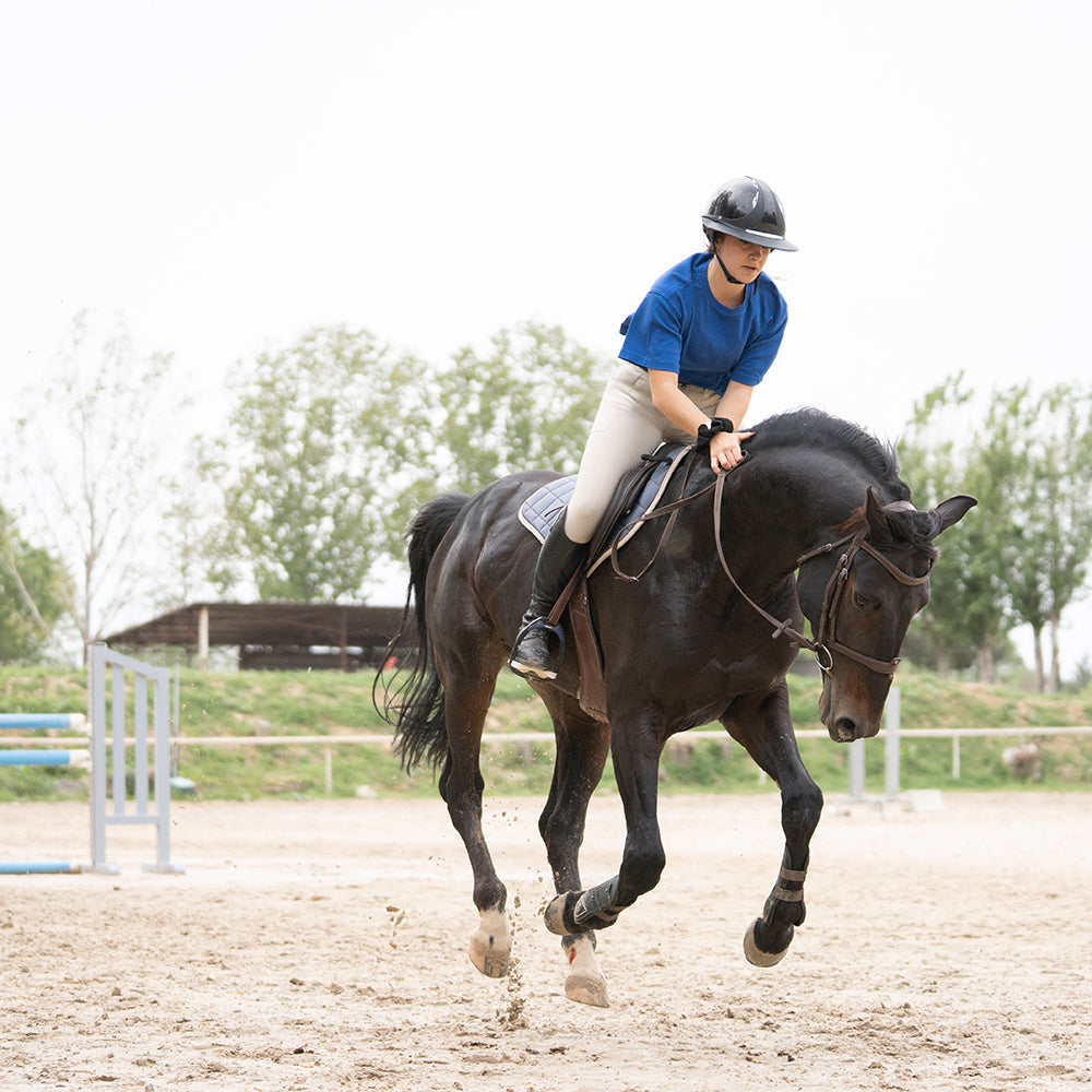 Cassilde Premium Full Grip Breeches