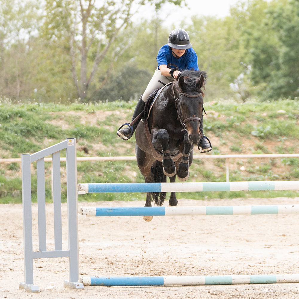 Cassilde Premium Full Grip Breeches