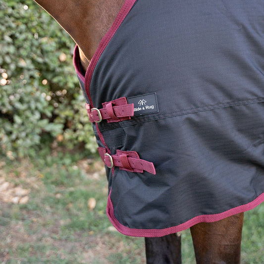 Danka 600D 300G Turnout Rug
