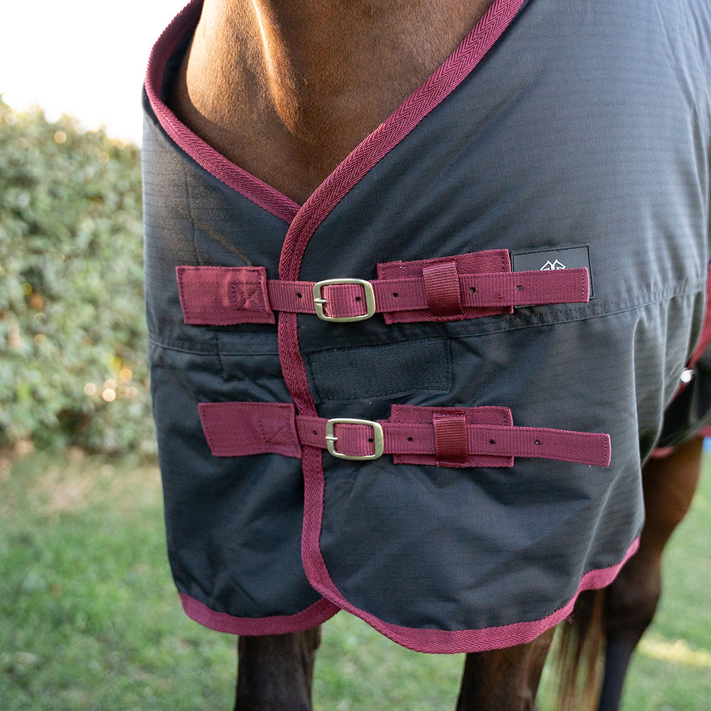 Danka 600D 300G Turnout Rug
