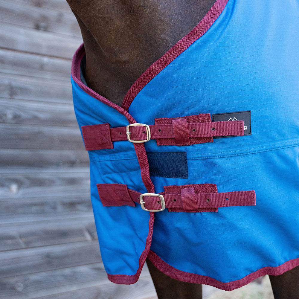 Danka 600D 300G Turnout Rug