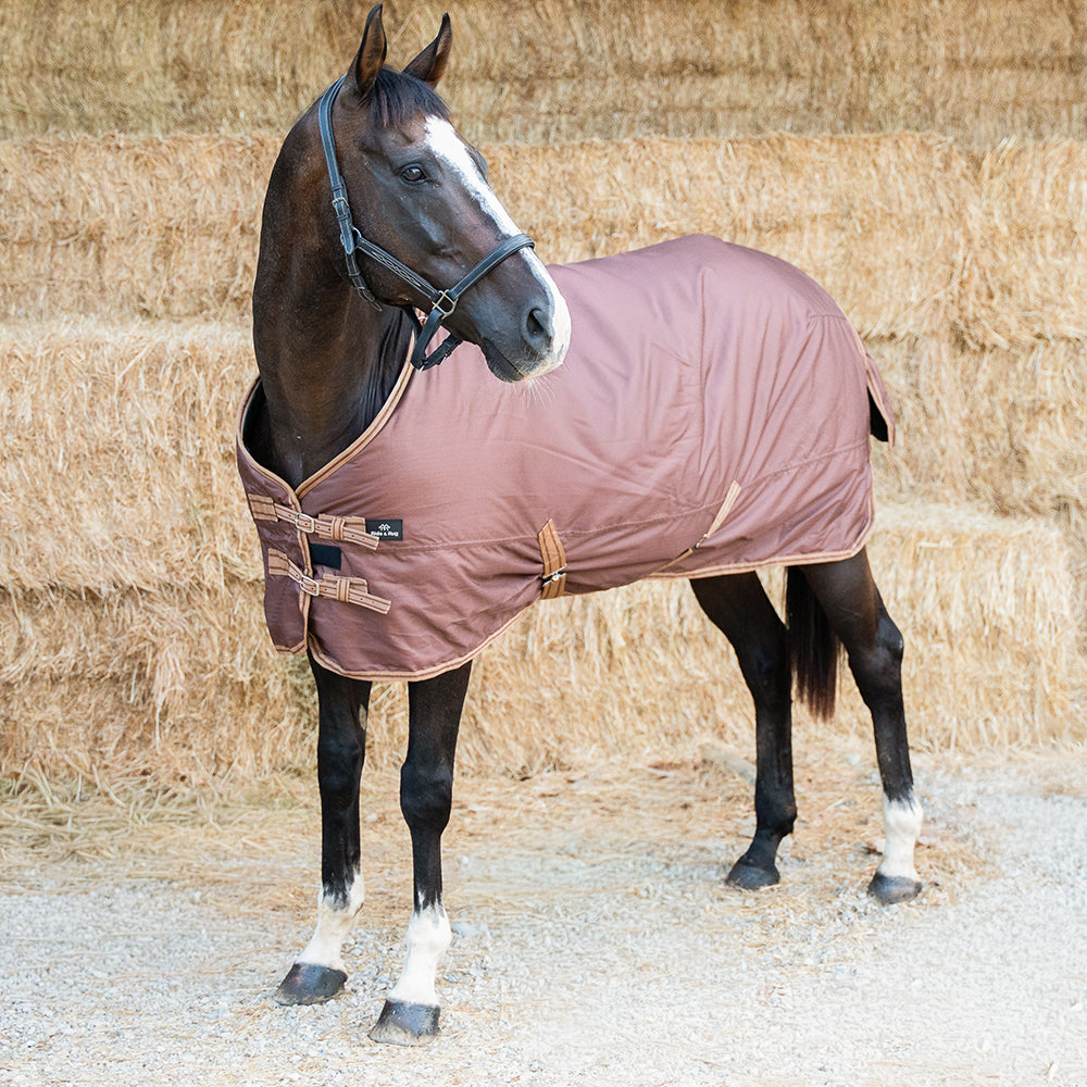 Danka 600D 300G Turnout Rug