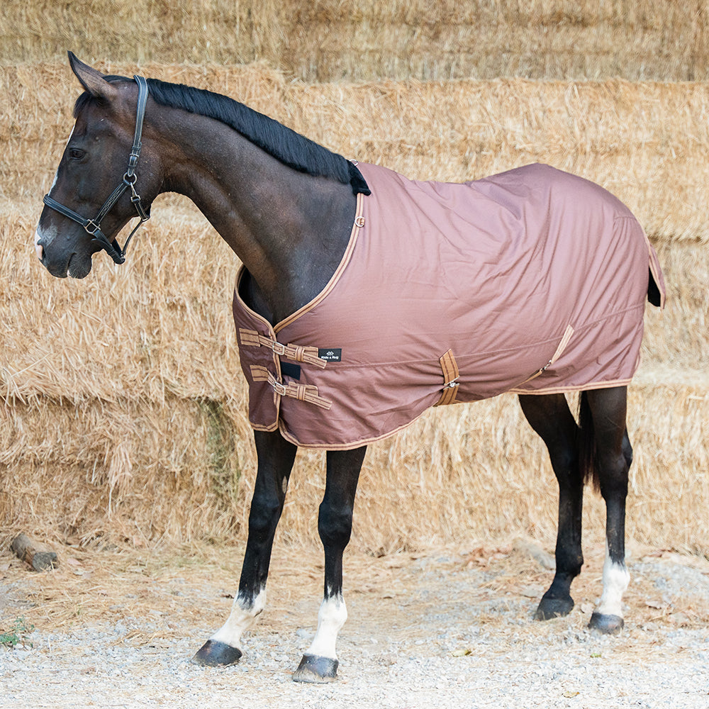 Danka 600D 300G Turnout Rug