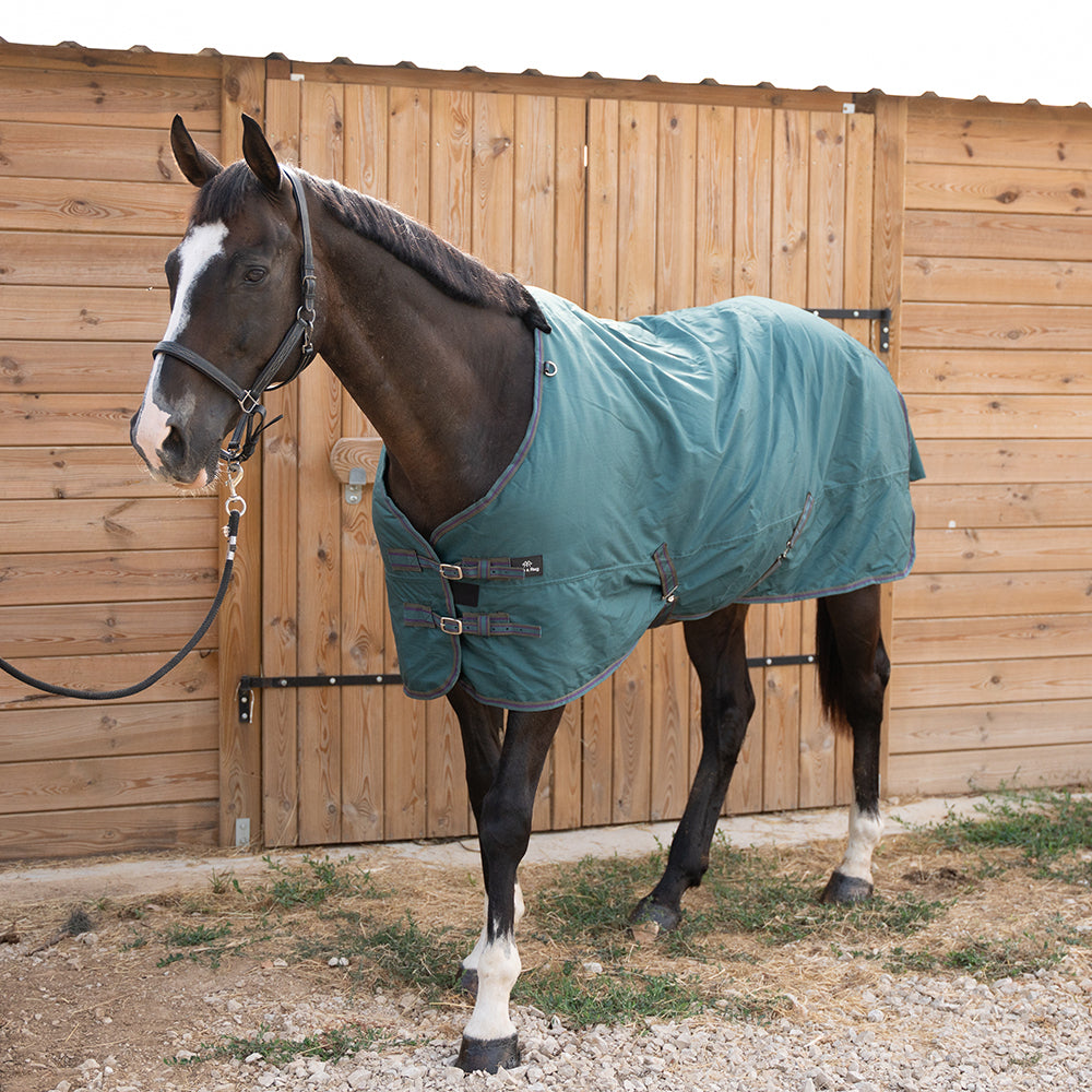 Danka 600D 300G Turnout Rug
