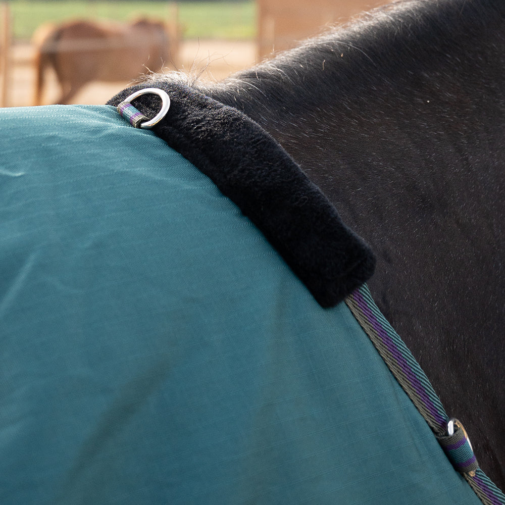 Danka 600D 300G Turnout Rug