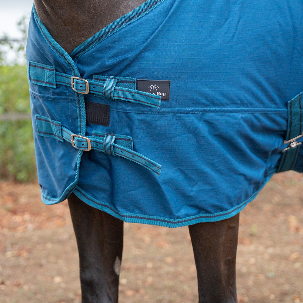 Danka 600D 300G Turnout Rug